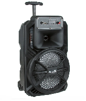Портативные колонки  Акустическая система 20-28 CRAZY BOX портат. (Bluetooth,USB, AUX, дисплей,FM,микрофон, LED) 8" TWS